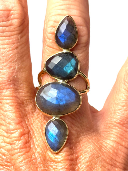 The Oceana Ring 🌊✨
