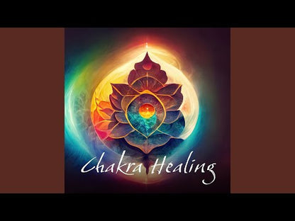 The Chakra Healing Necklace ✨